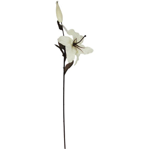 Box of 12 Cream Stargazer Lily Spray