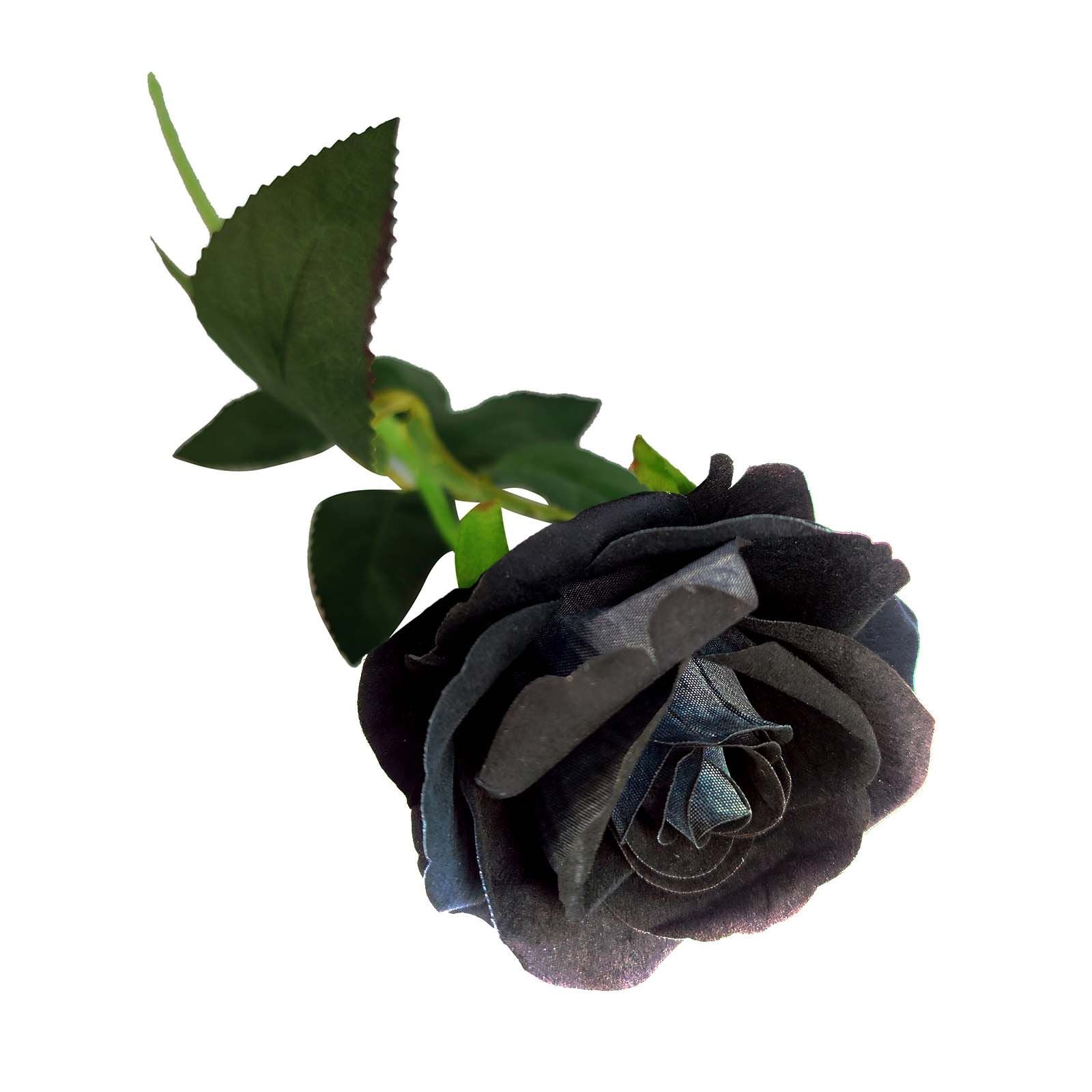 Luxury Soft Touch Roses - 6x