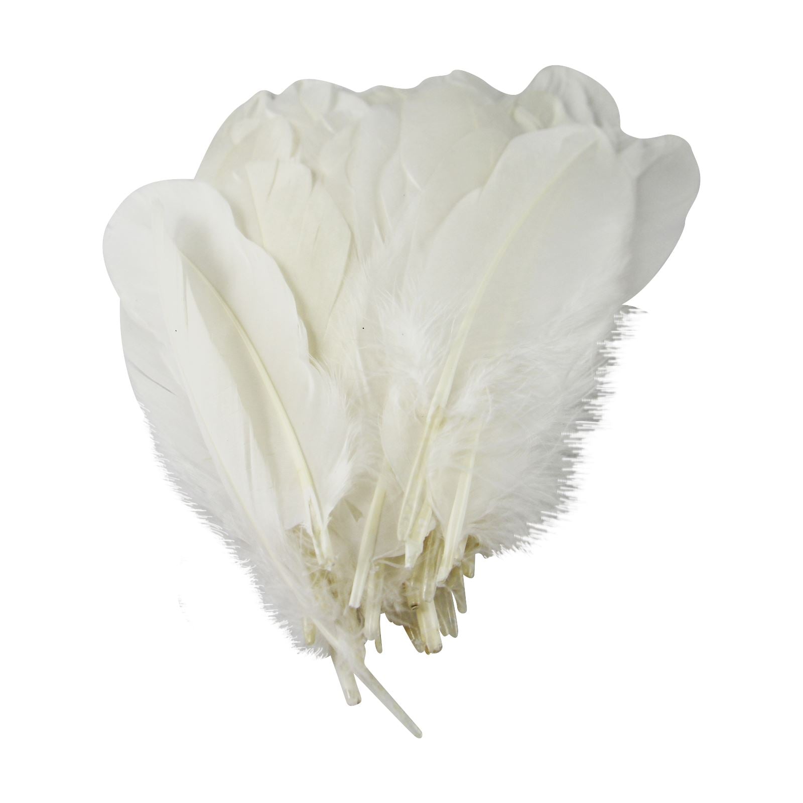 Large 5 Inch Goose Feathers