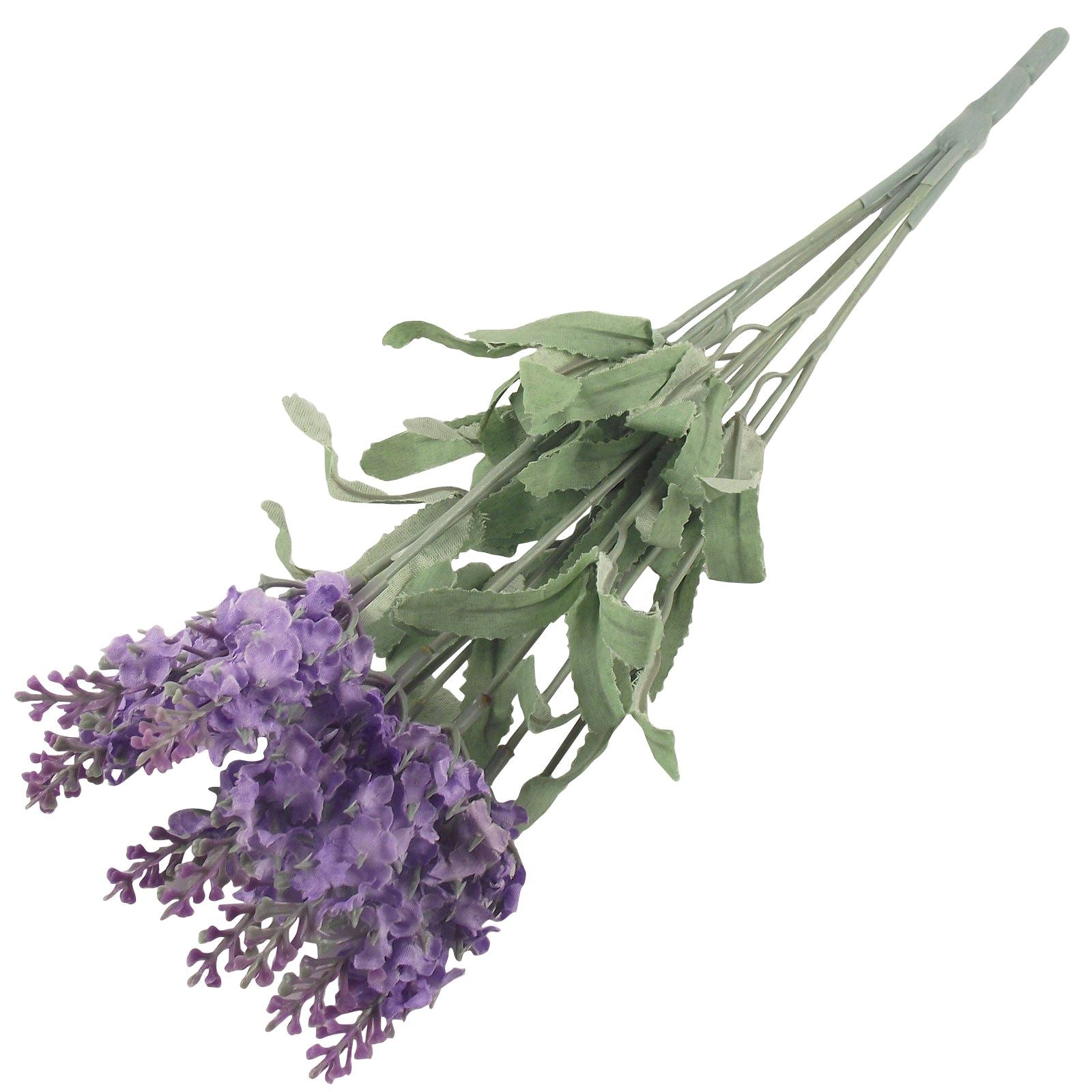 Lavender Flower Bunch
