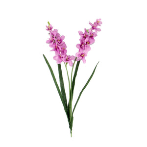 Double Stemmed Water Orchid Spray