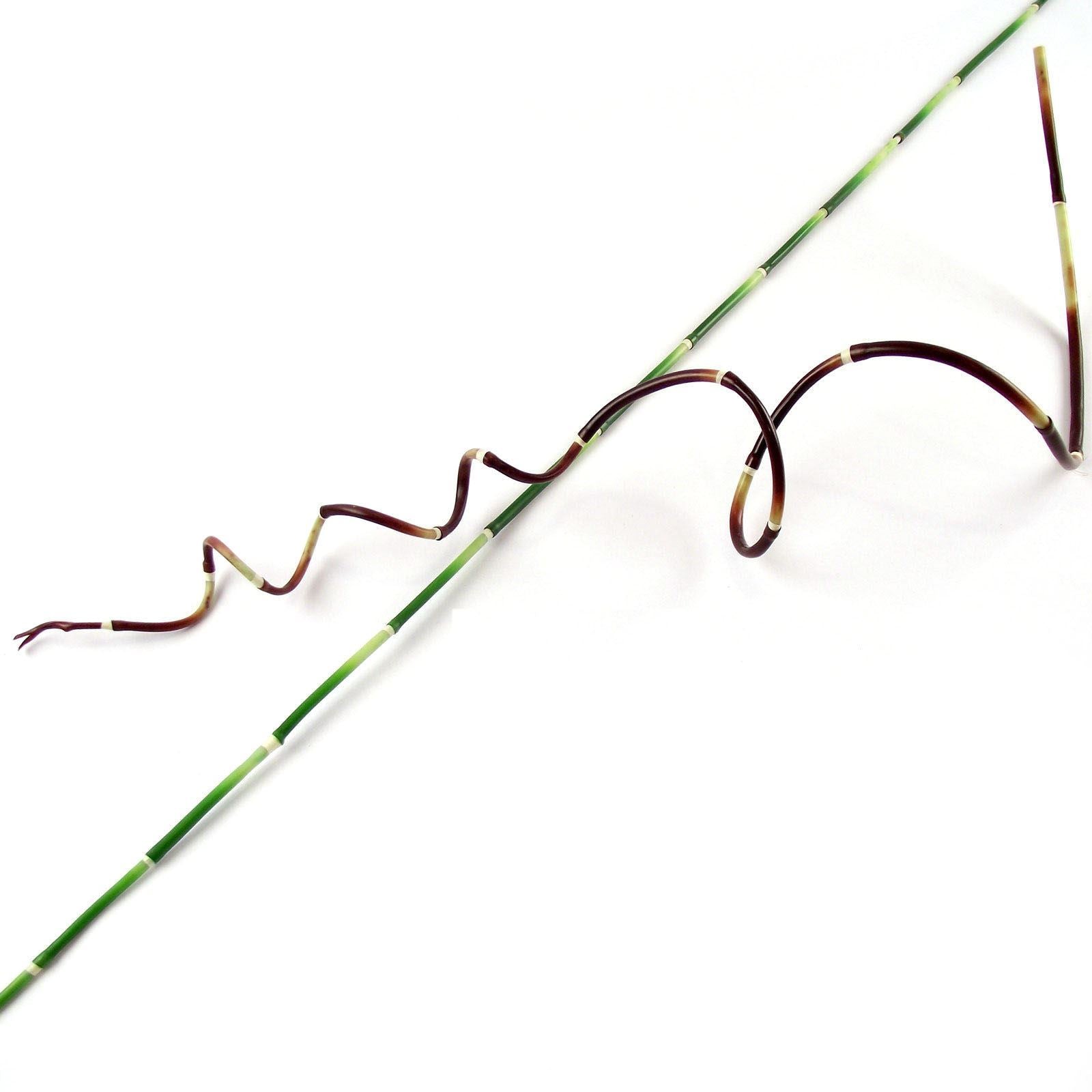 110cm Skinny Bamboo Cane