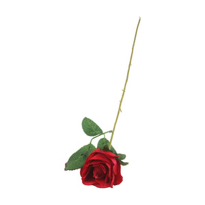 Single Eco Rose Stem