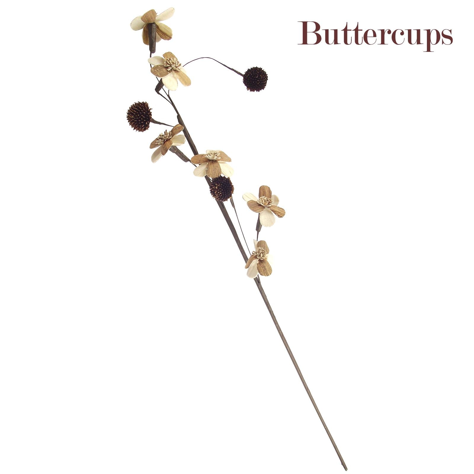 Natural Sola Tree Flower Sprays