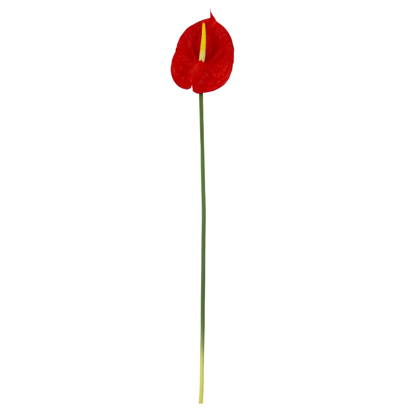 Real Touch Single Anthurium