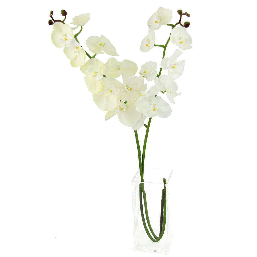 Real Touch Phalaenopsis Orchid