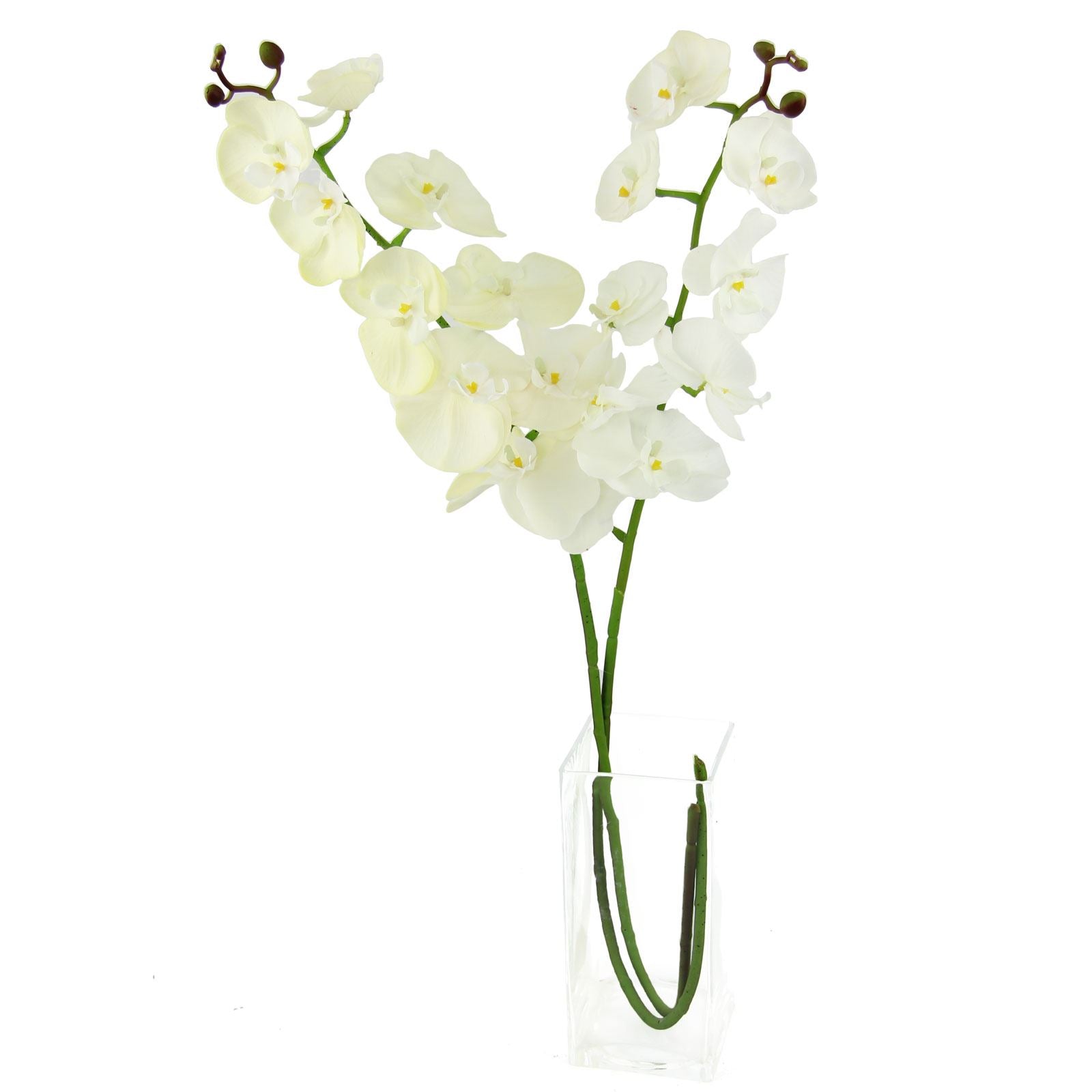 Real Touch Phalaenopsis Orchid