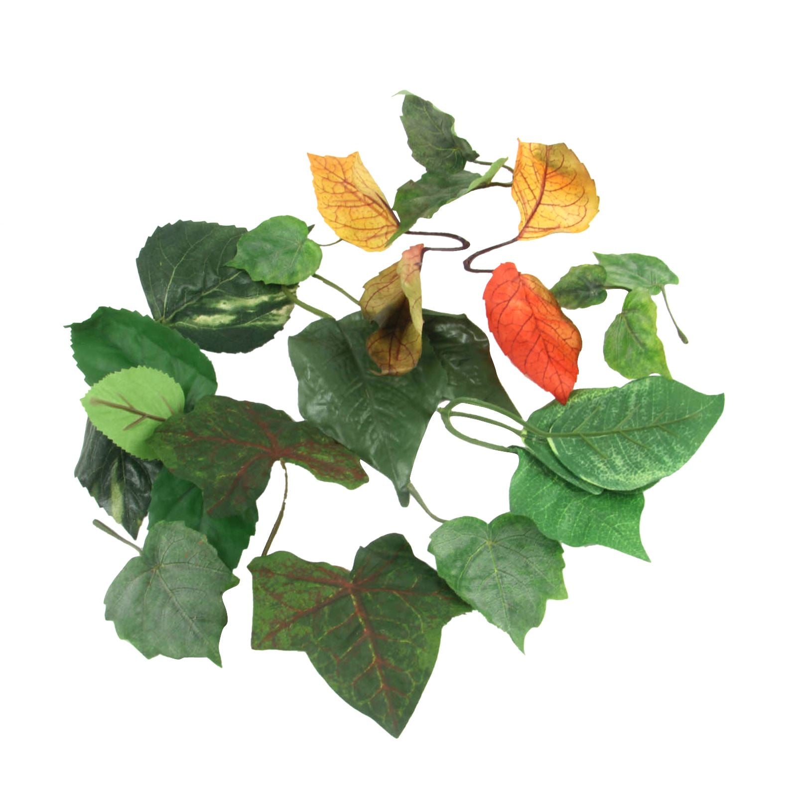 25x Assorted Premium Leaves