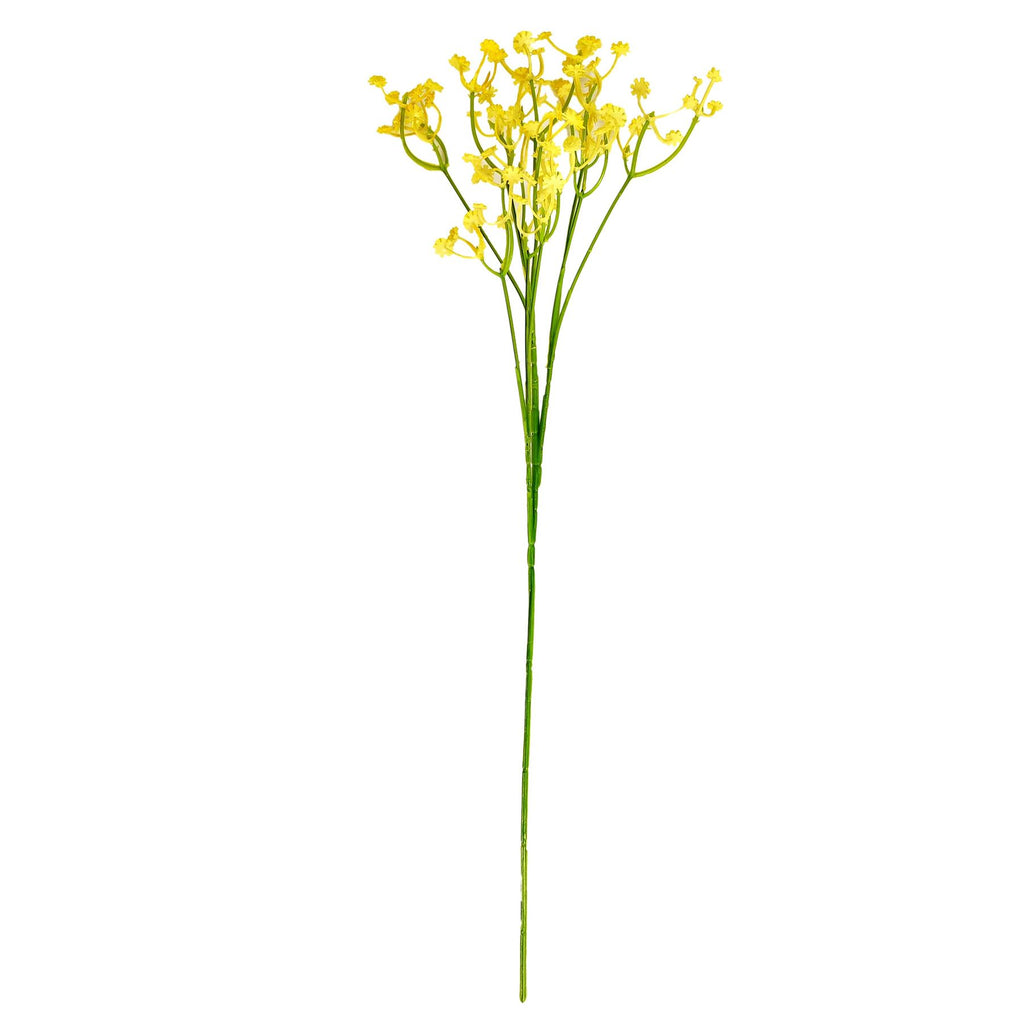 Coloured Gypsophila Sprays