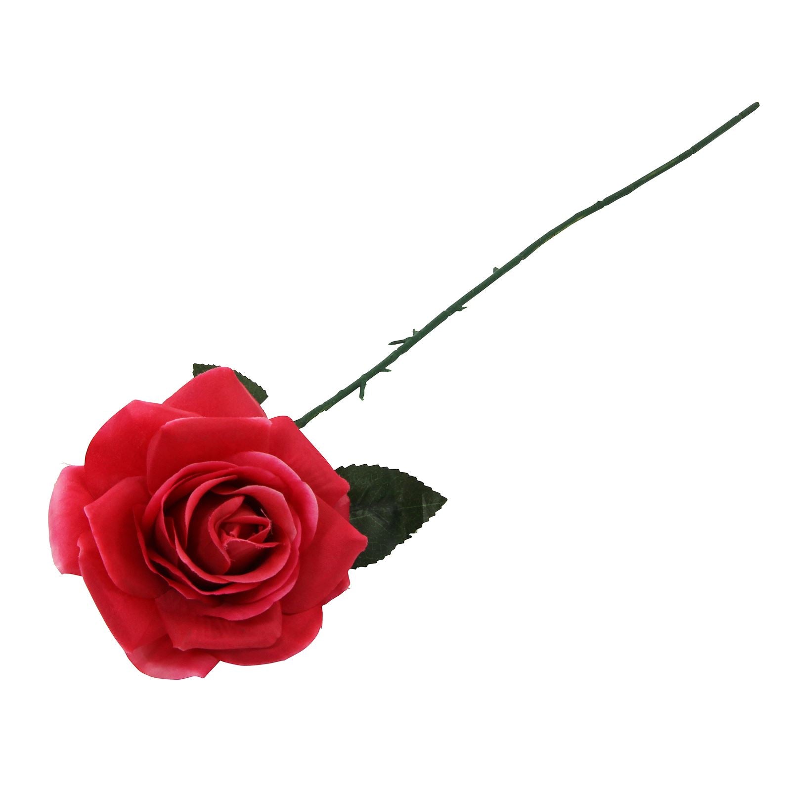 Large Plastic Premium Open Rose