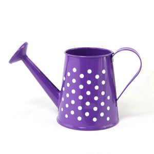 Small 9x15cm Watering Can Favor