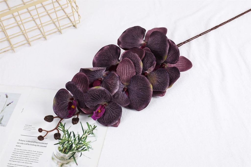 Premium Modern Large Orchid