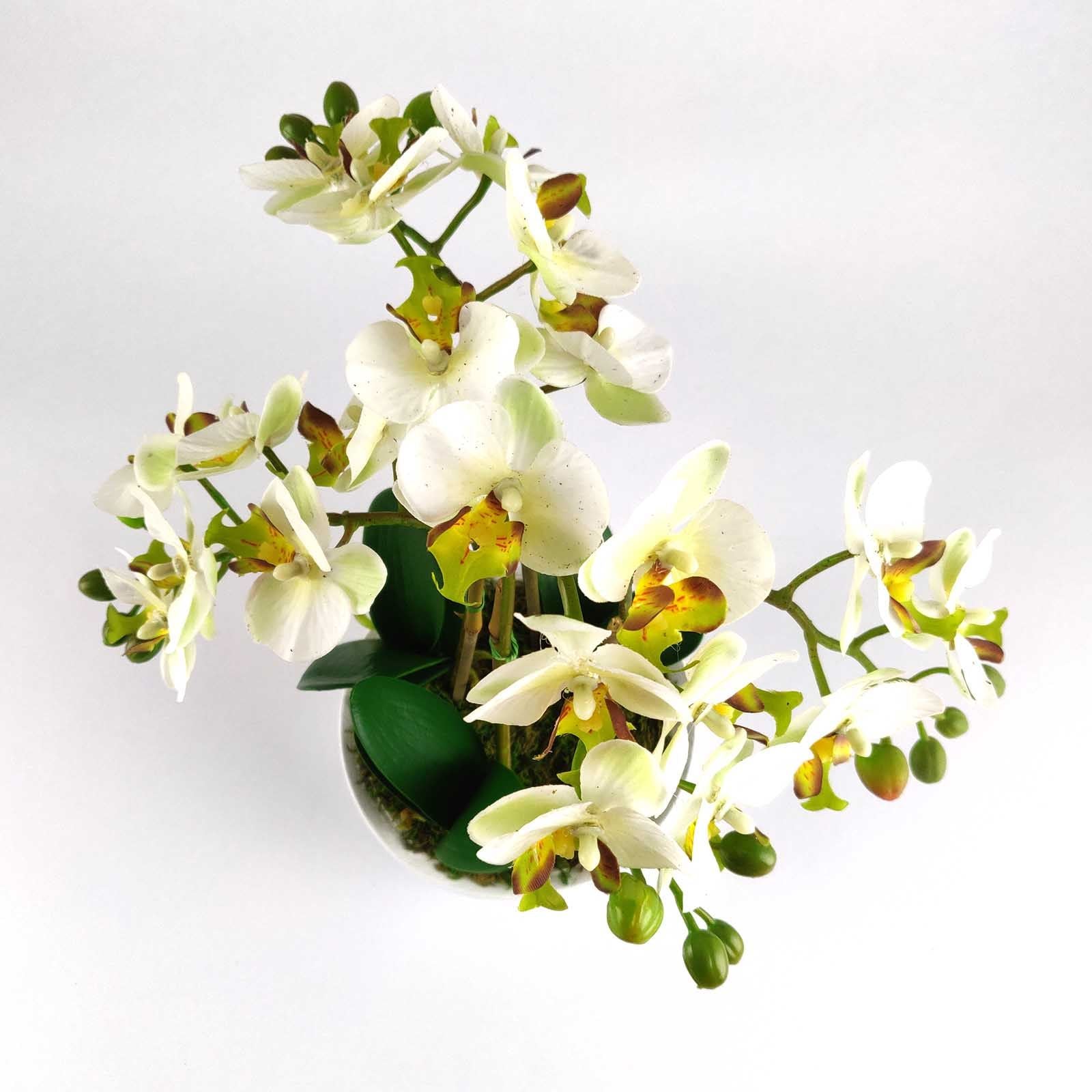 Pre-Potted Real Touch Orchid Plants