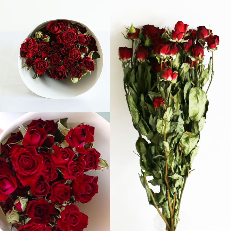 Dried roses - 10 stems- Bunch