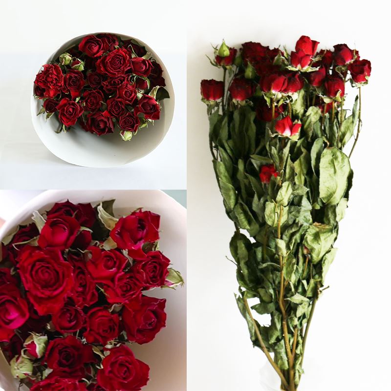 Bouquet of 10 Dried Rose Stems - Preserved Natural Eternal Forever