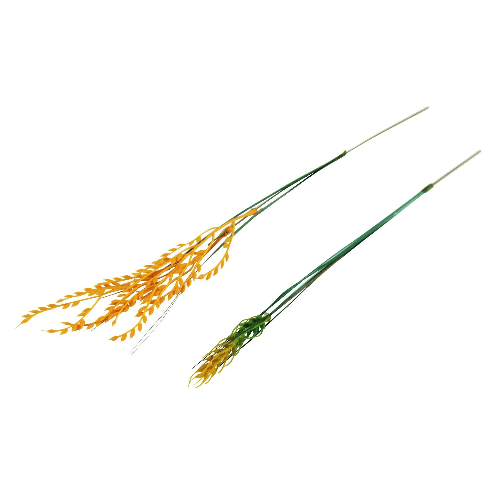 Artificial Wheat and Barley Germ Stems