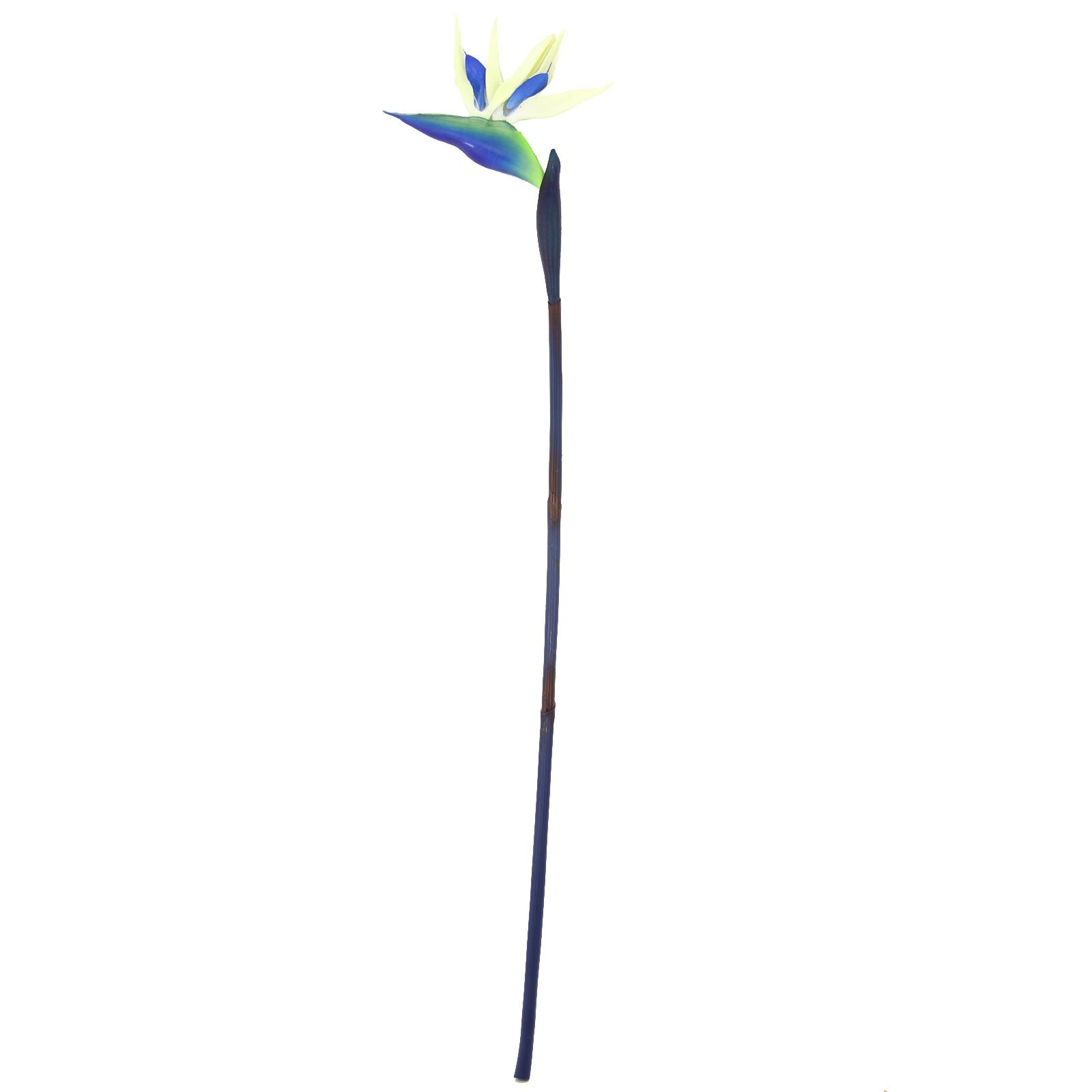 Large Bird of Paradise Tropical Flower