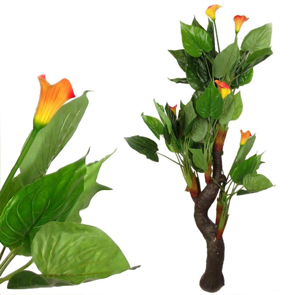 Large Tropical Calla Lily Tree