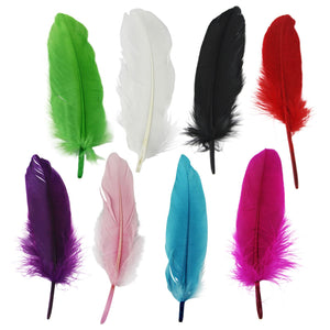 Large 5 Inch Goose Feathers