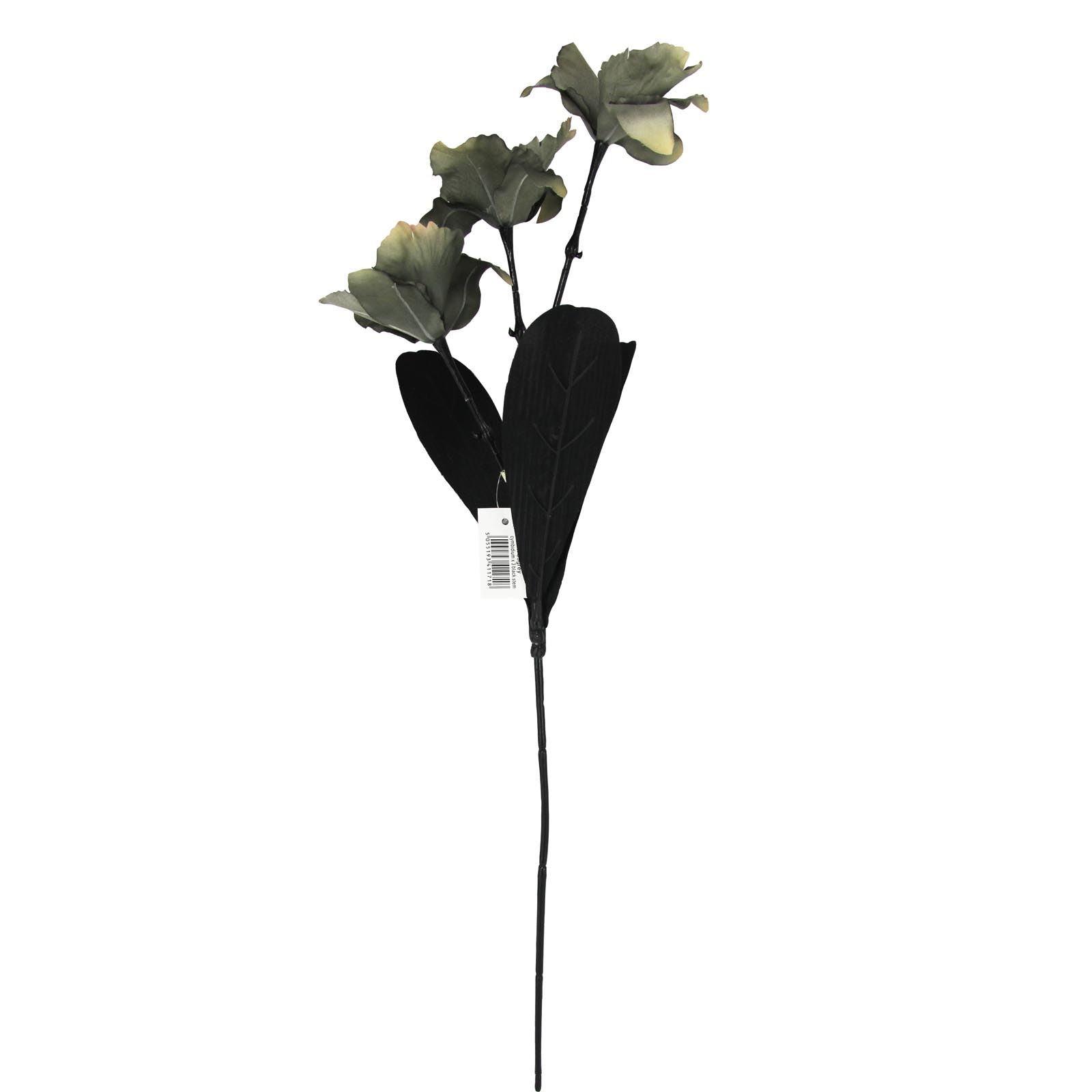 3 Head Cymbidium Orchid Spray