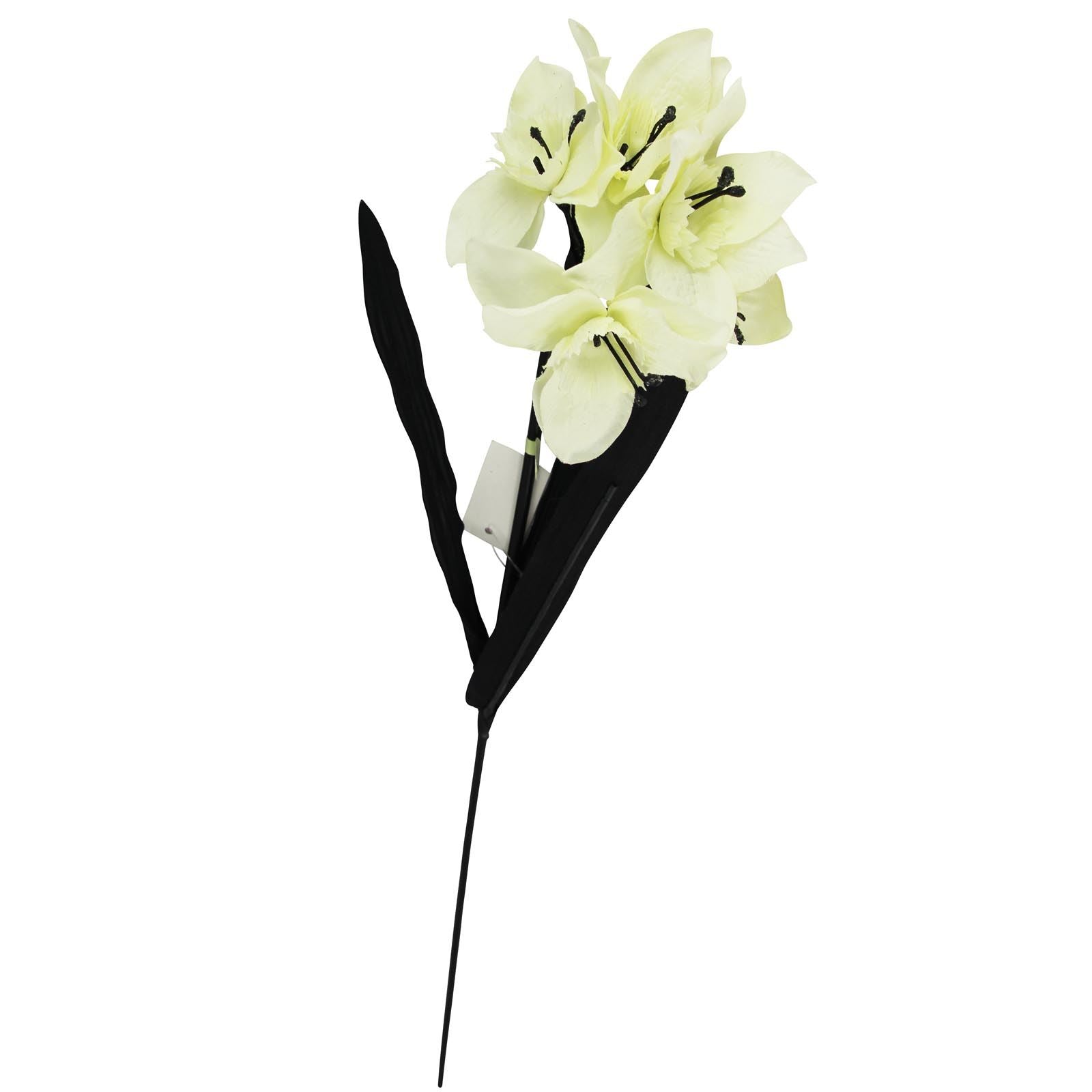 Tazetta Daffodil Stems