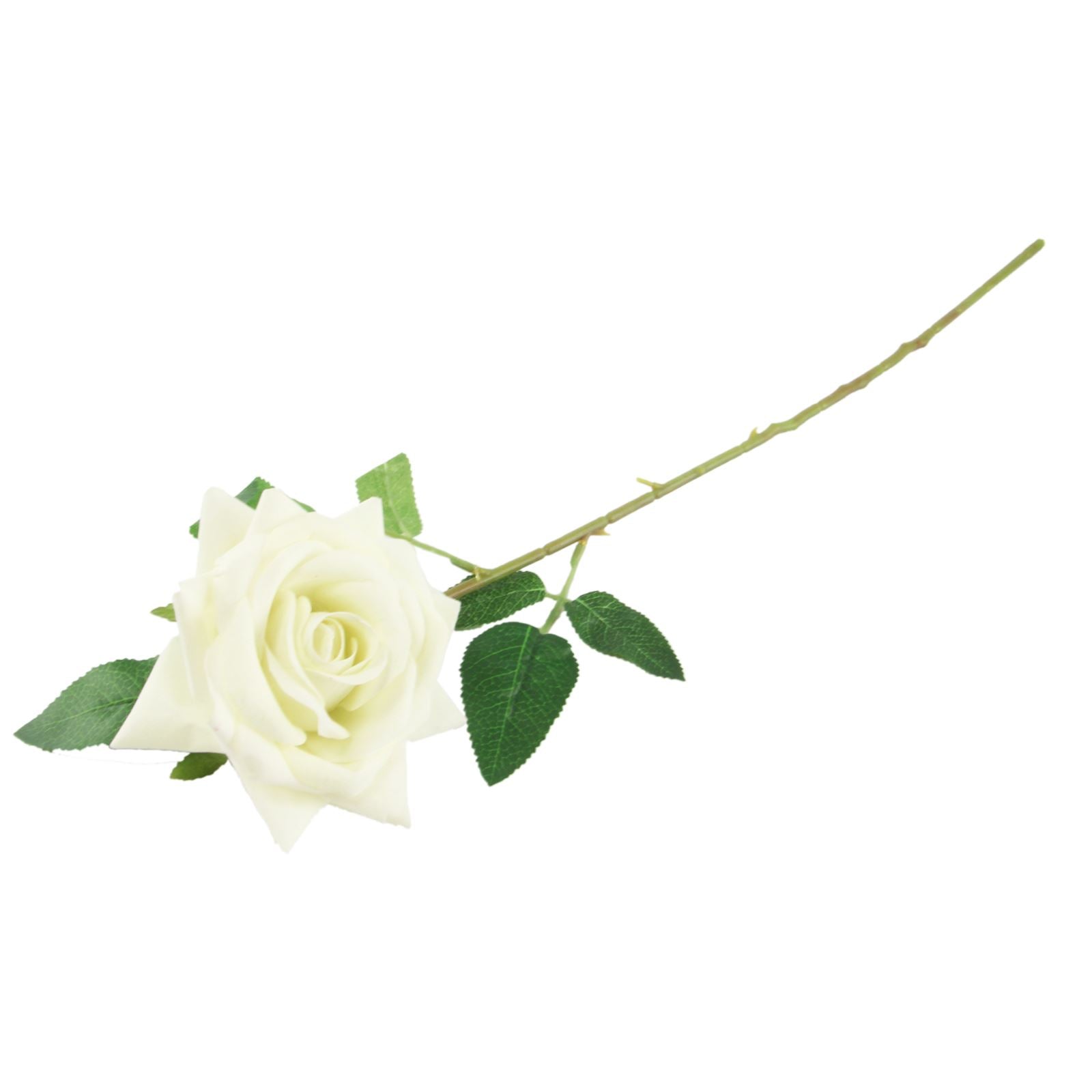 Premium Open Velvet Rose