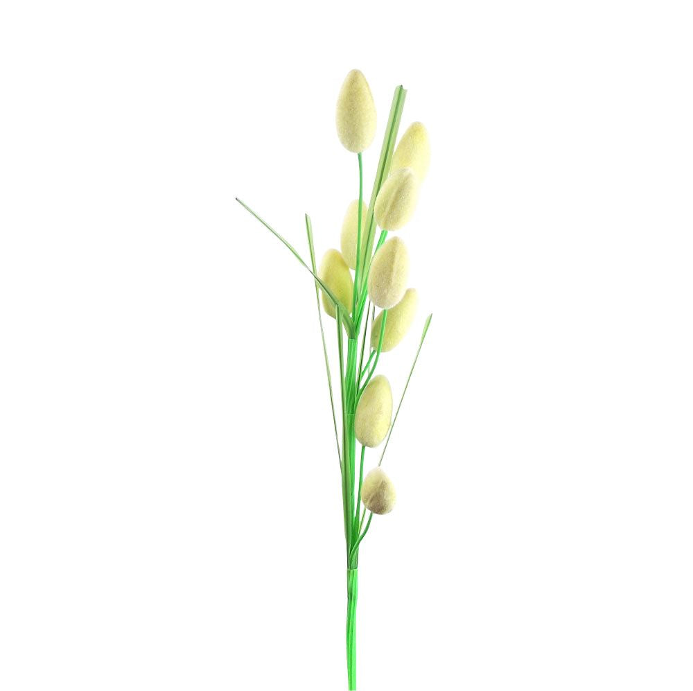 Hairy Fruit Flower Spray
