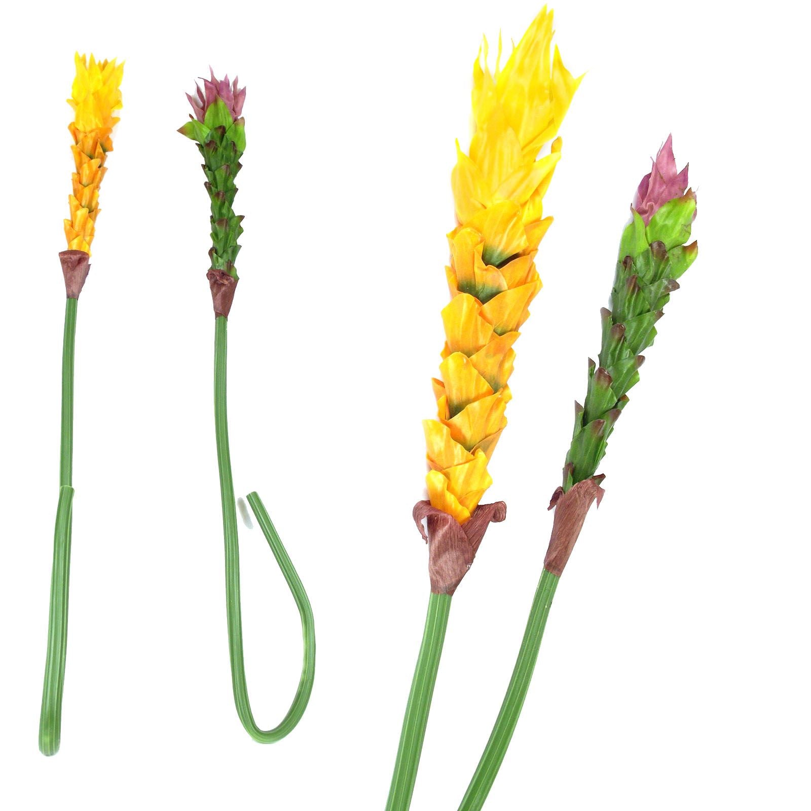 Large Ginger Flower Tropical Stem