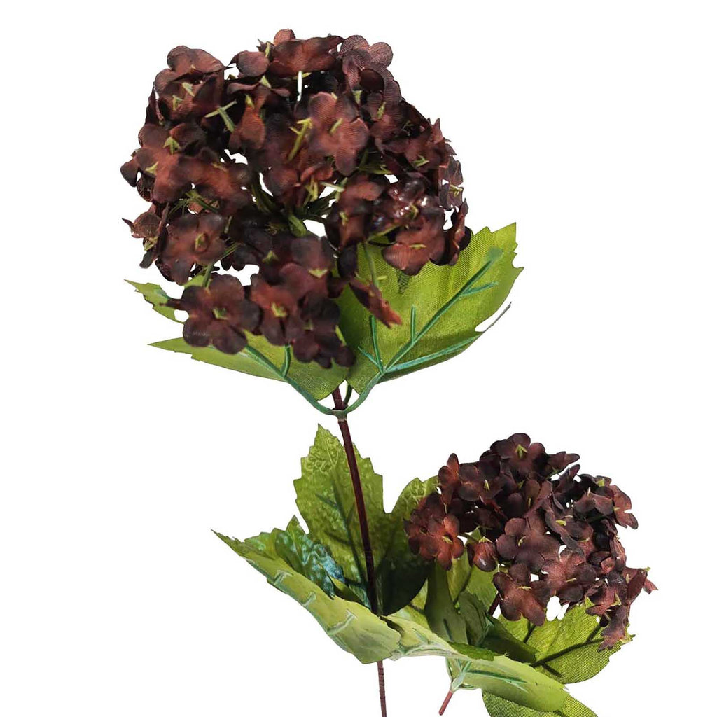 Snowball Hydrangea Flower