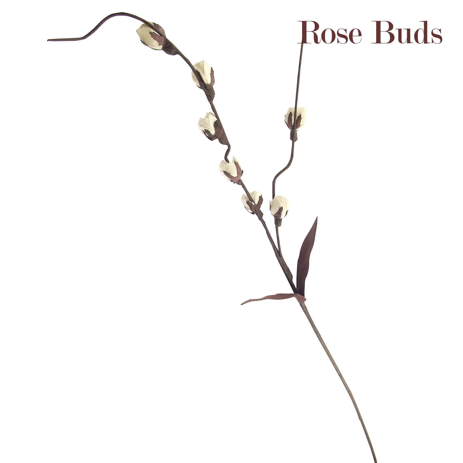 Natural Sola Tree Flower Sprays