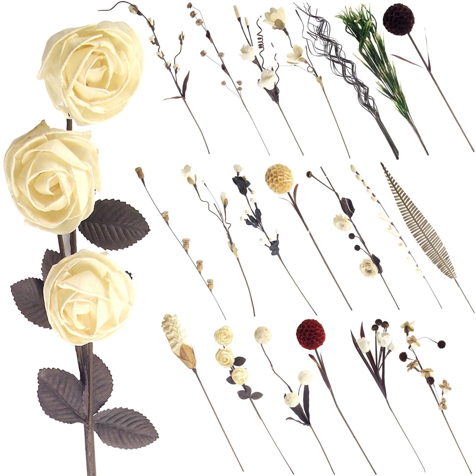 Natural Sola Tree Flower Sprays