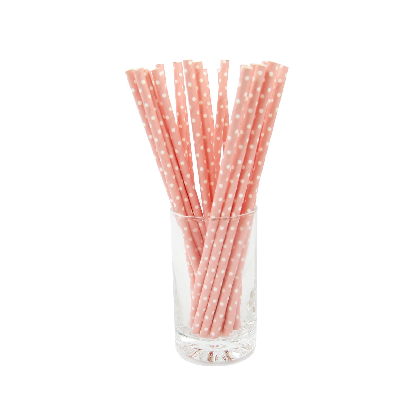 Wholesale 250x Polkadot Paper Straws
