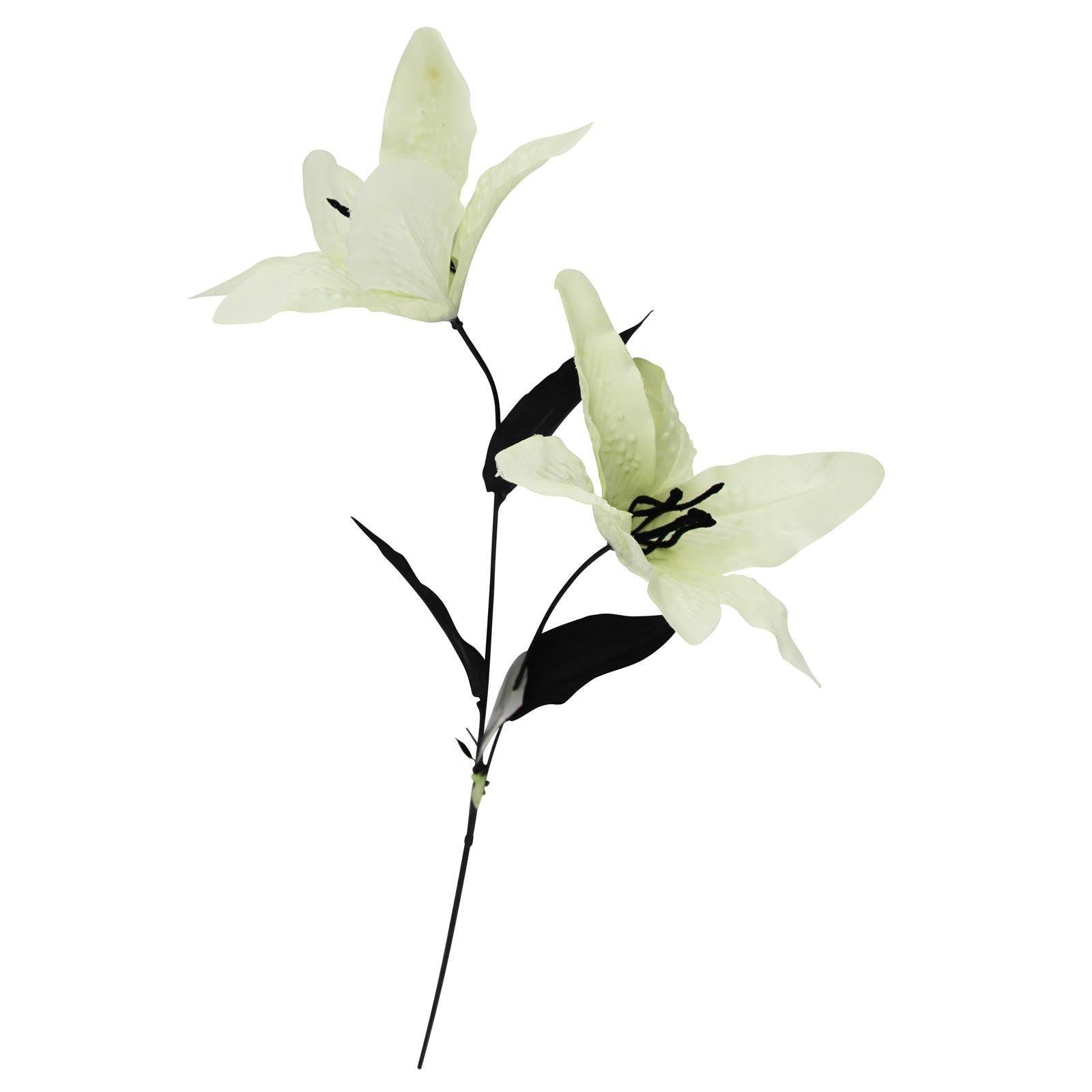 2 Head Stargazer Lily