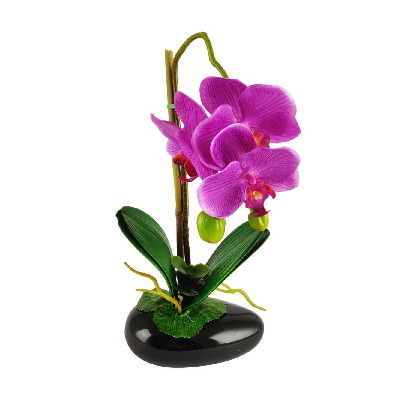 Pre-Potted Real Touch Orchid Plants