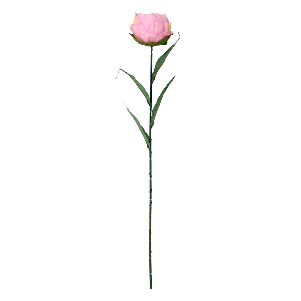Single Large Peony