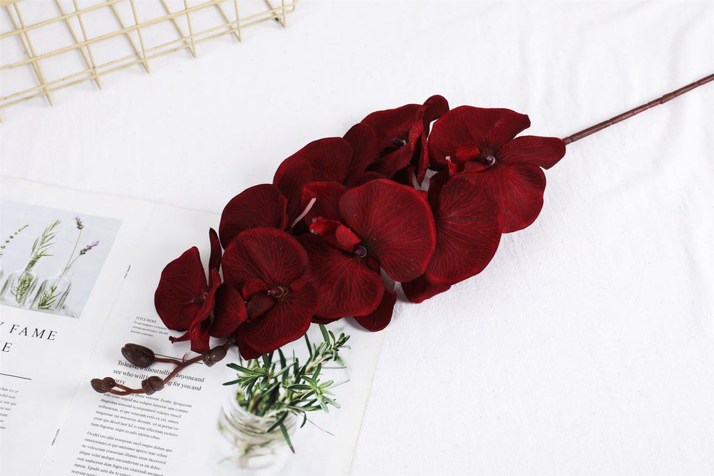 Premium Modern Large Orchid