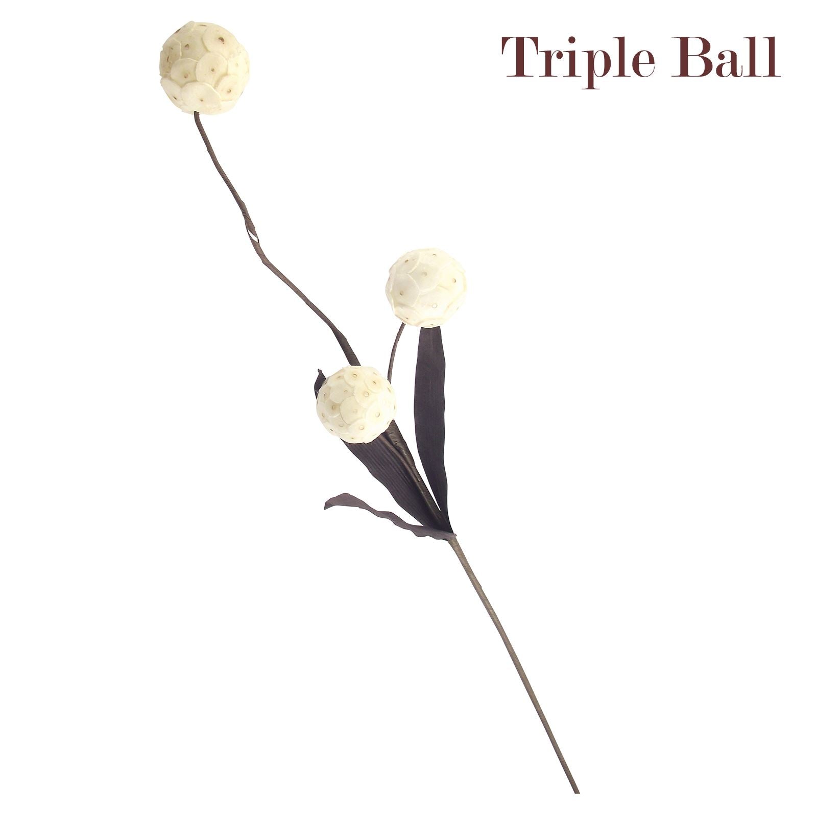 Natural Sola Tree Flower Sprays
