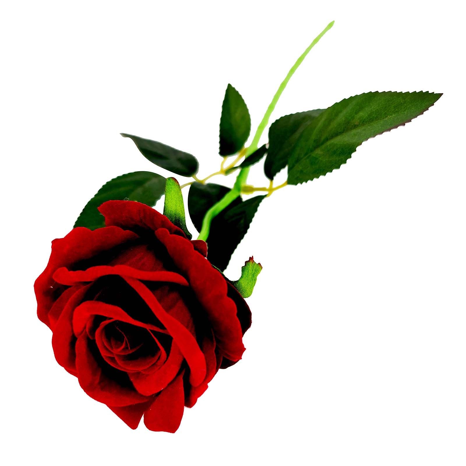 Luxury Soft Touch Roses - 6x