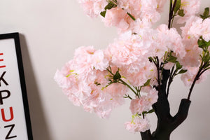 Premium Fluffy Cherry Blossom Tree