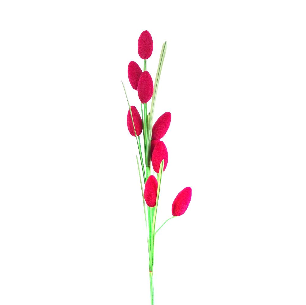 Hairy Fruit Flower Spray