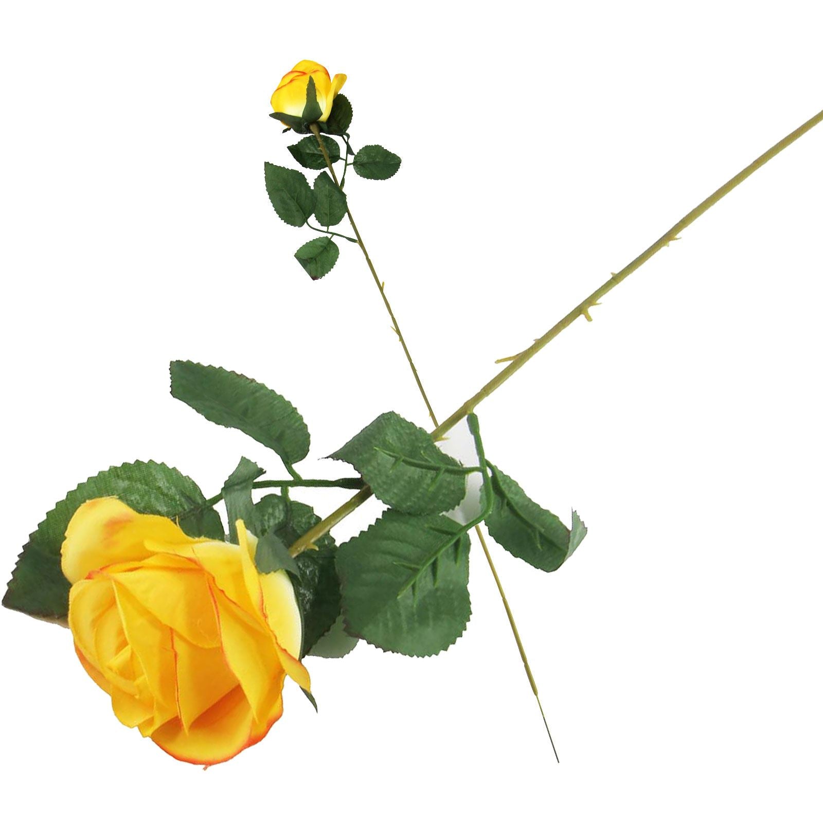 Single Eco Rose Stem