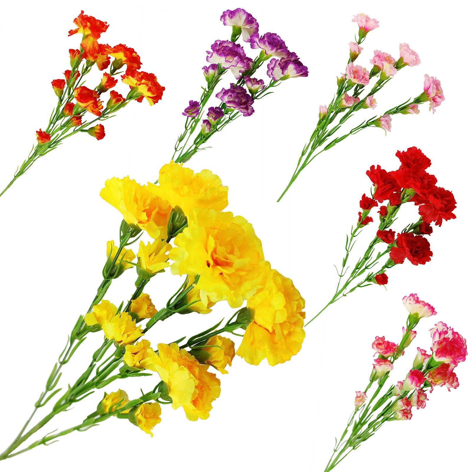Carnation Spray