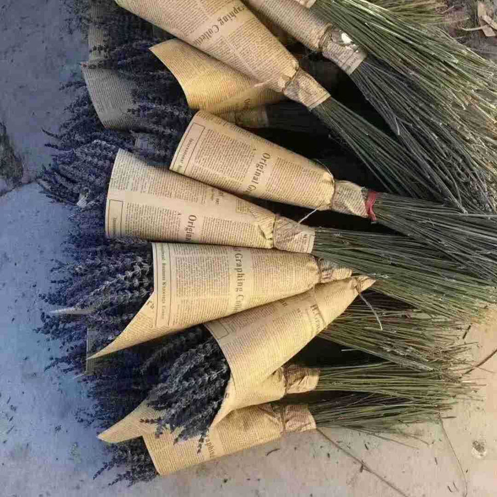 Dried Lavender Stems