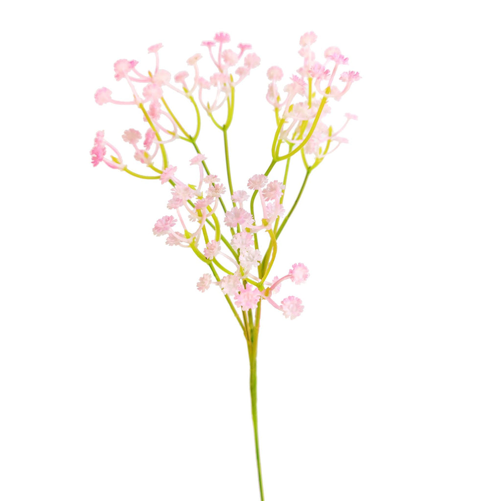 Coloured Gypsophila Sprays