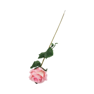 Single Eco Rose Stem