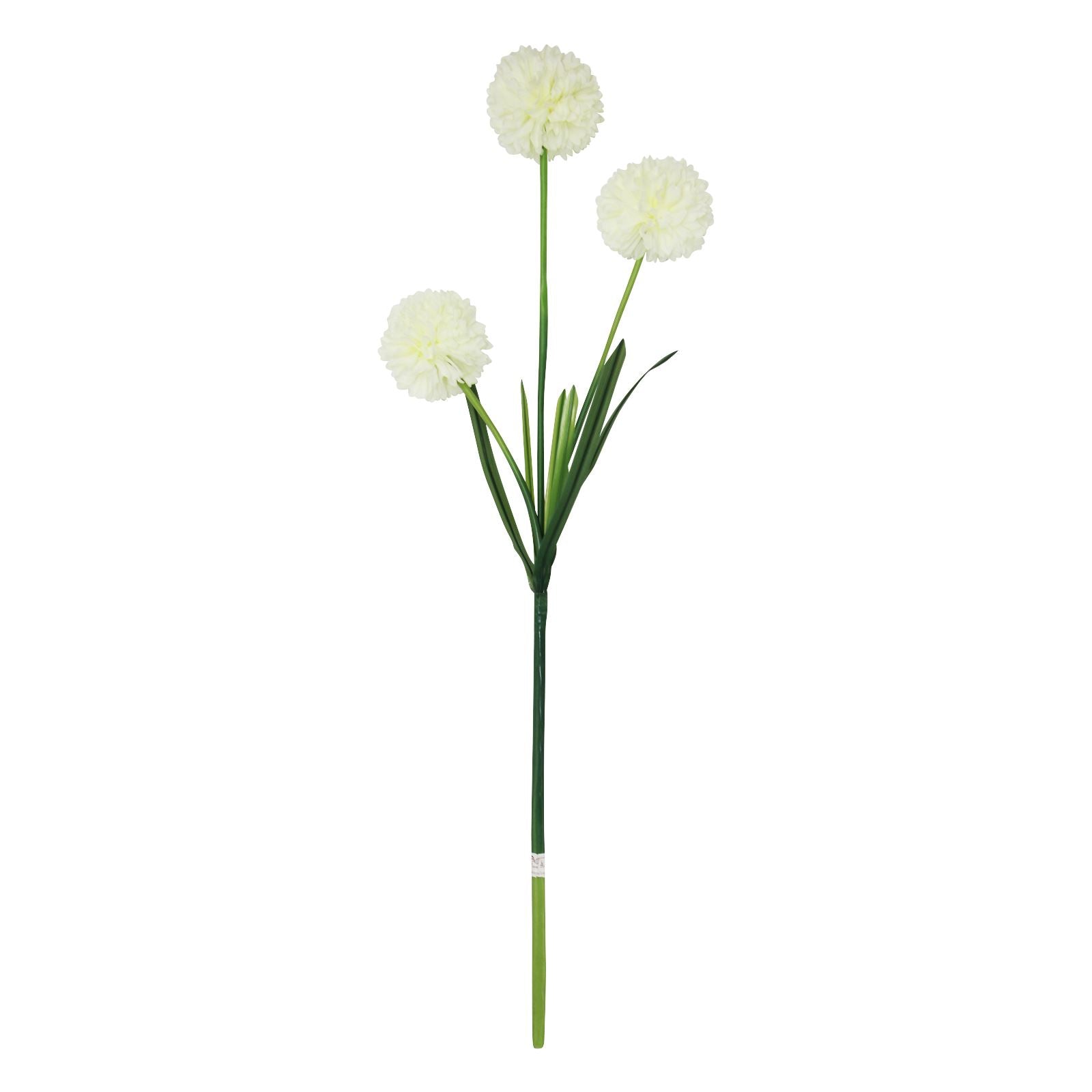 3 Headed Large Pompom Allium Spray