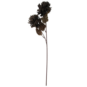 2 Head Chrysanthemum