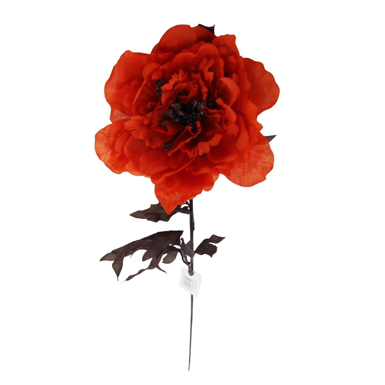 Single Large Open Peony
