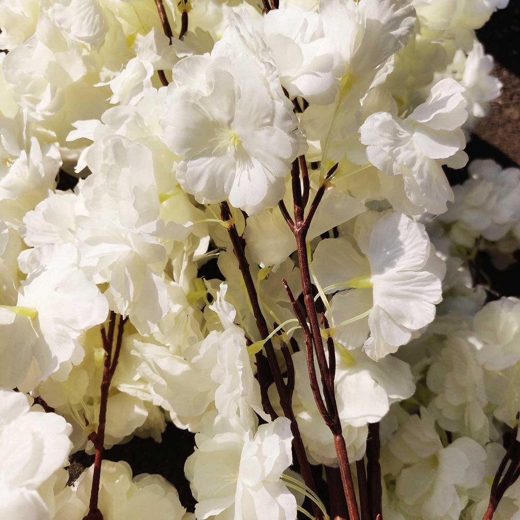 Premium Fluffy Cherry Blossom Tree