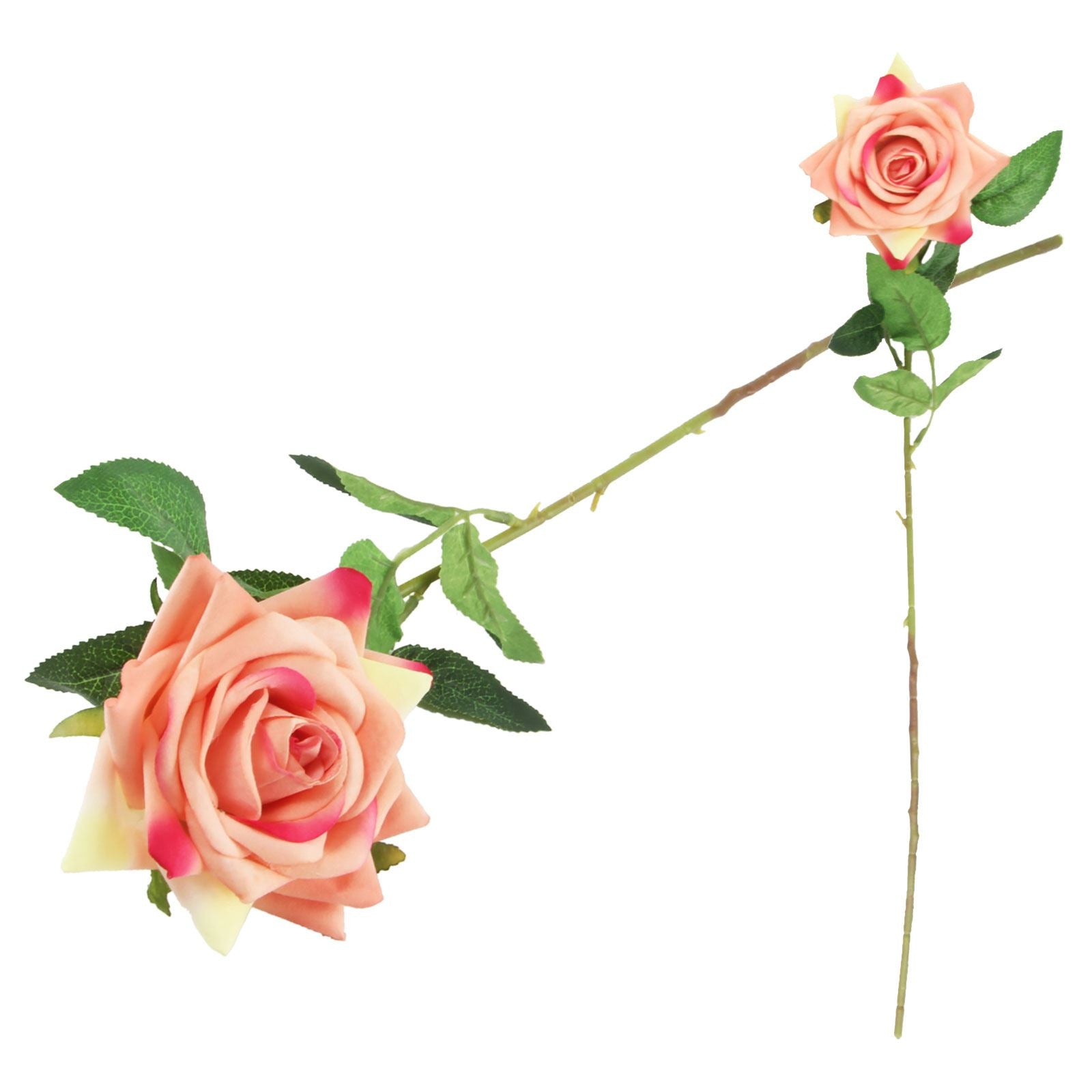 Premium Open Velvet Rose